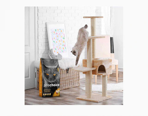 Pro32 Chicken & Rice Recipe | Adult Cat