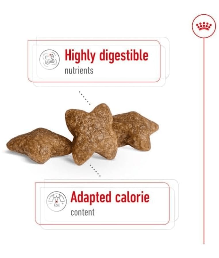 Royal Canin Mini Adult 2kg-4kg