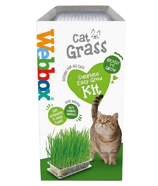 Webbox - Cat Grass