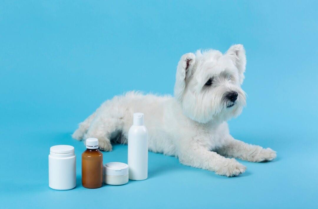 Pet Supplements