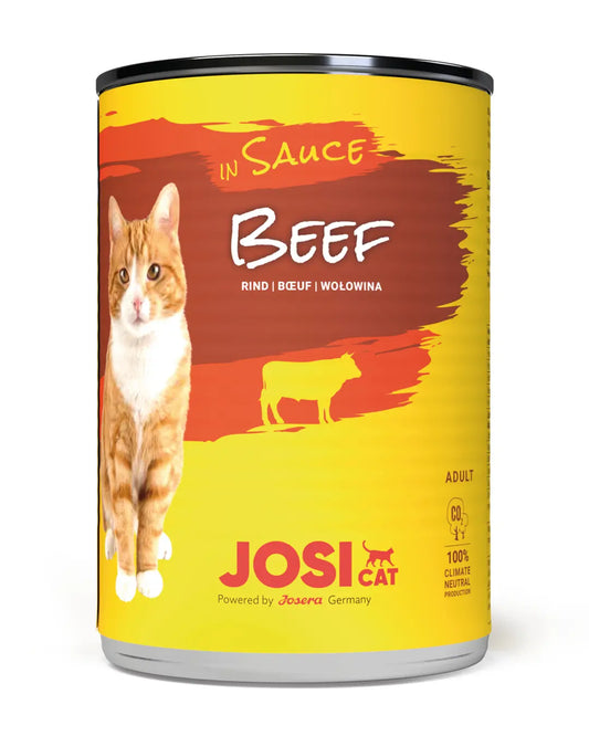 Josicat beef in sauce