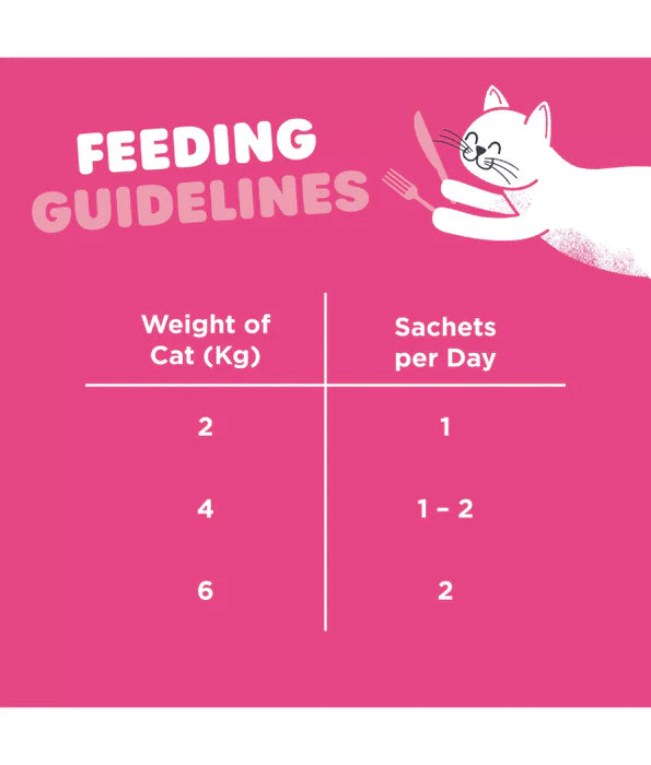 Webbox - Lick-e-Lix Creamy Salmon Cat Treats 5 Sachets