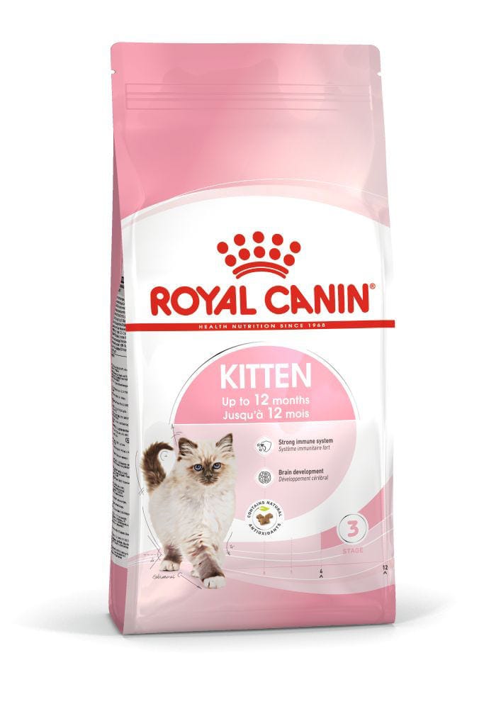 Kitten 3rd stage