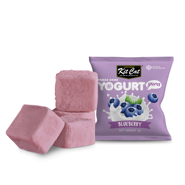 Kit Cat Freeze Dried Yogurt Yums Blueberry