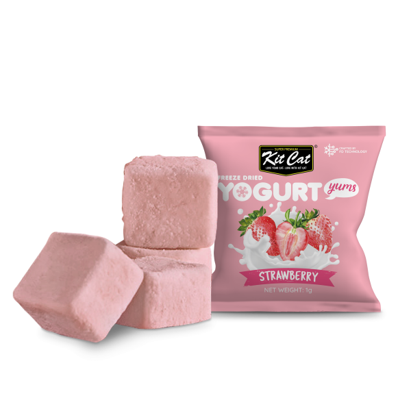 Kit Cat Freeze Dried Yogurt Yums Strawberry