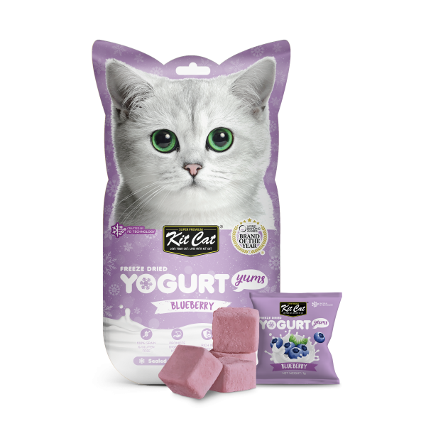 Kit Cat Freeze Dried Yogurt Yums Blueberry