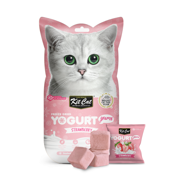 Kit Cat Freeze Dried Yogurt Yums Strawberry