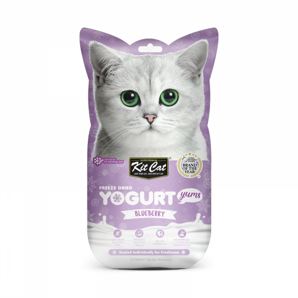 Kit Cat Freeze Dried Yogurt Yums Blueberry